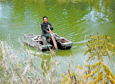 <p>　　巡河保洁员正在清理清水沟里的垃圾。</p>