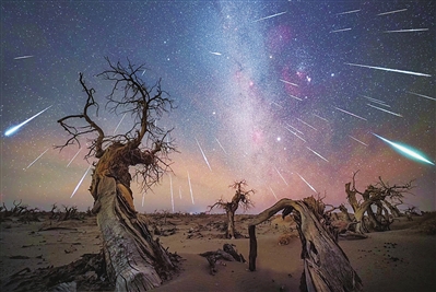     《怪树林双子座流星雨》，图虫星空摄影大赛冠军和北京天文馆天文摄影师大赛天象类别冠军，拍摄地在额济纳旗怪树林。