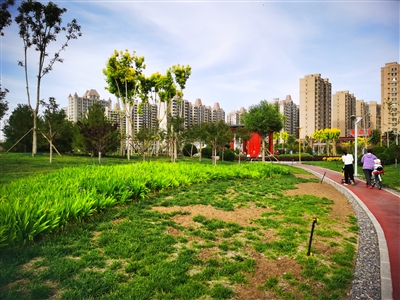 见缝插绿，小微公园成城市一景。