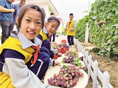 <p>银川市兴庆区第六小学学生参加劳动实践活动。</p>