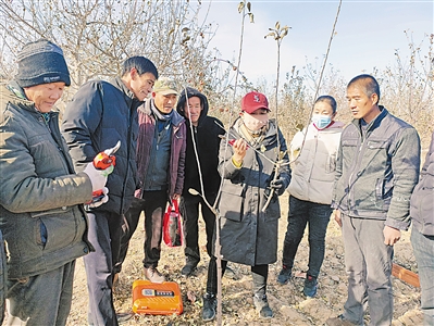 <p>张翠红（右三）给果农们教授果树种植技术。（图片由受访者提供）　</p>