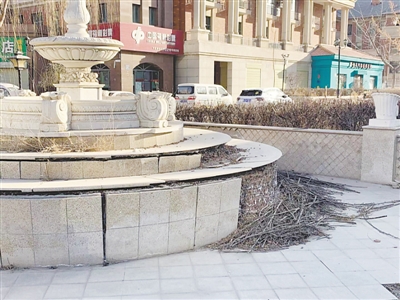 <p>宝庆国际花园小区大门口的景观喷泉瓷砖掉落，池内堆着垃圾。</p>