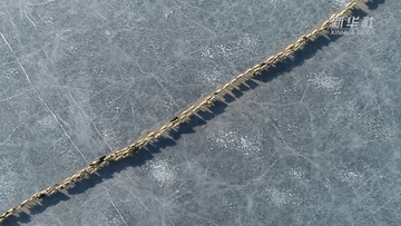 2000多只羊长线式排队过冰湖……这画面，太带感了！