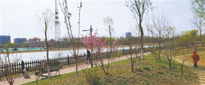 <p>　　幼童在小公园内奔跑，未拴链的犬只“虎视眈眈”。</p>