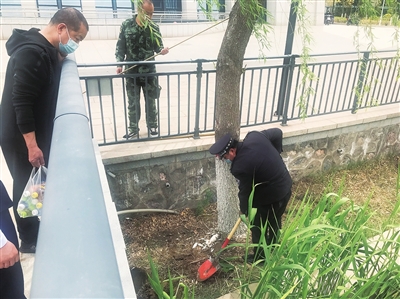 水质变差，银川市民大厅后湖惊现大量死鱼