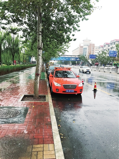 昨日，上海东路海宝公园南侧路段未出现大面积积水。本报记者张艳丽摄