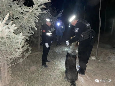 西吉两警犬接力嗅认6小时找到离家出走的12岁男孩