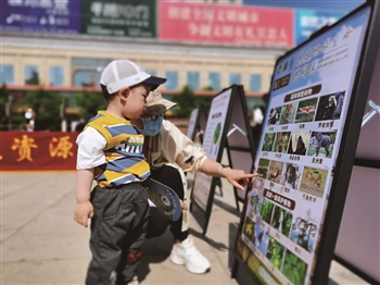 宁夏开展生物多样性日主题宣传