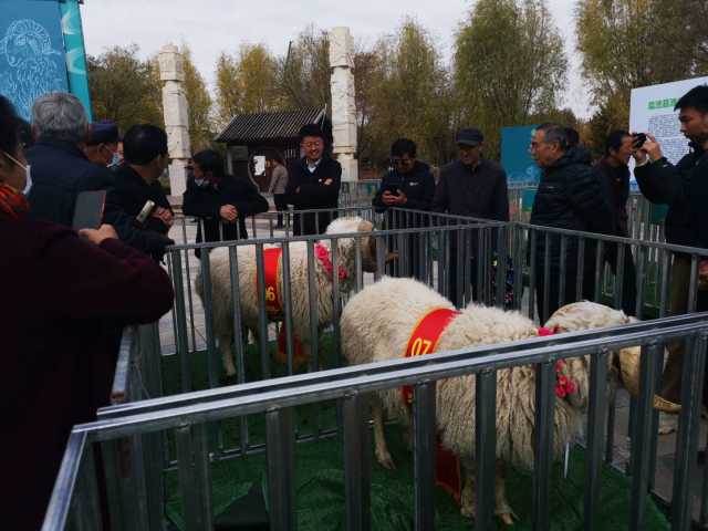微信图片_20201028134032.jpg