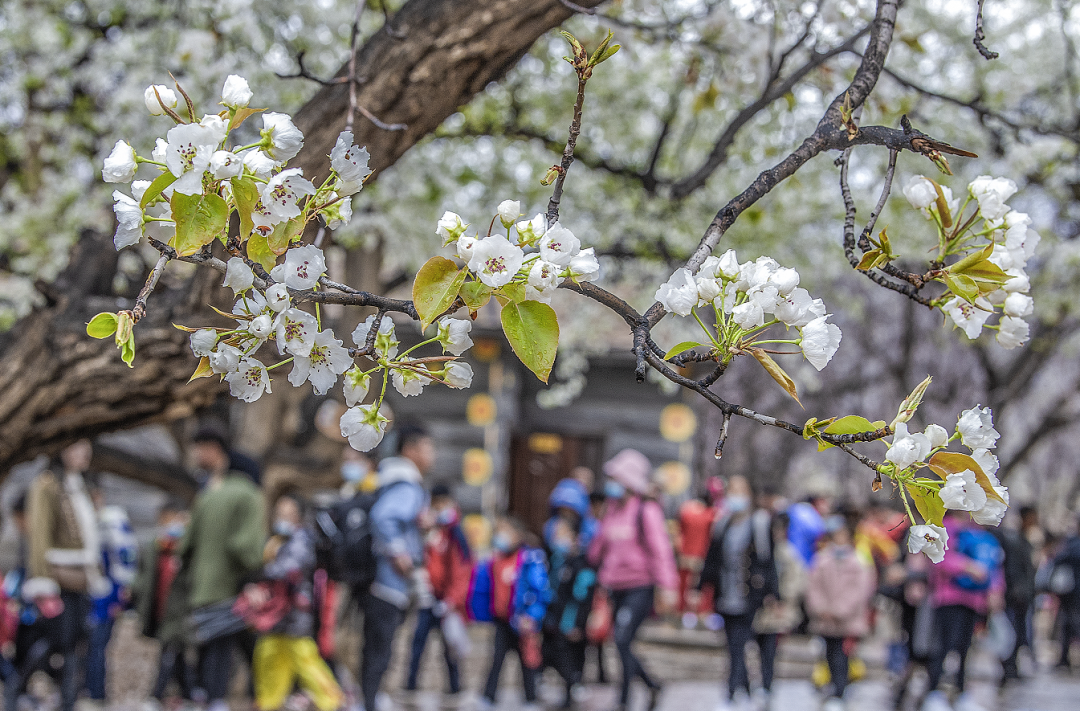微信图片_20220331150659.png