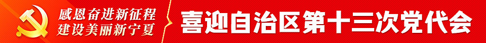 【贺兰山网评·新宁夏】宁夏腾飞正当时——写在宁夏第十三次党代会召开前夕
