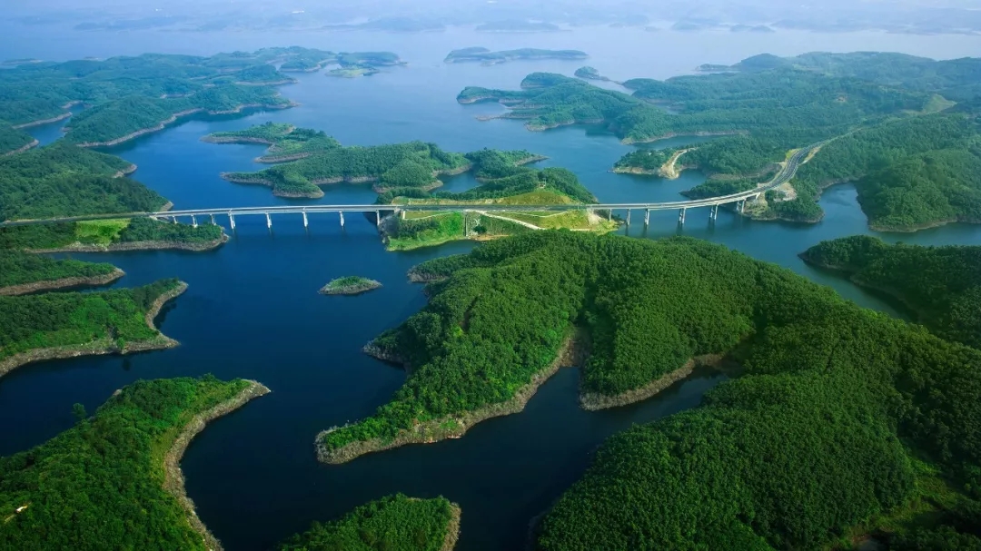 湖北省洪湖市长江岸线呈现出一幅绿色生态美景.人民图片网供图