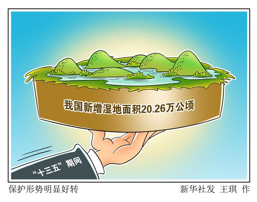 （图表·漫画）［环境］保护形势明显好转