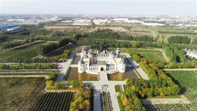 <p>　　贺兰山脚下的葡萄园。</p>