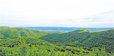 宁夏启动六盘山区森林质量精准提升项目