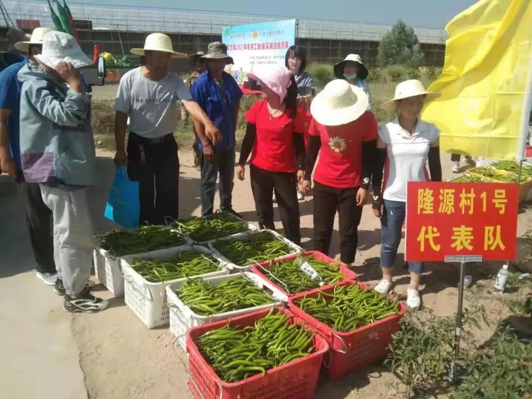 杨振雄：用党建之光照亮乡村振兴路