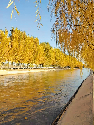 <p>　　11月，宁夏引黄灌区进入冬灌期，汉延渠永宁段水流平稳。</p>