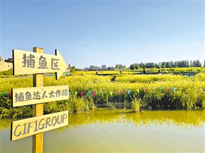 <p>　　银川市西夏区芦花小镇的稻渔空间，实现了“一水多产”。</p><p>　　本报记者　陈瑶　摄</p>