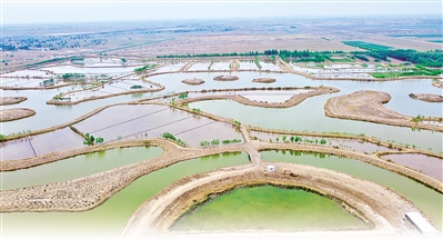 宁夏来了6.02亿立方米生态水