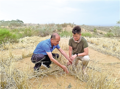 <p>黄恺嘉（右）了解治沙故事，体验麦草方格的制作过程。</p>