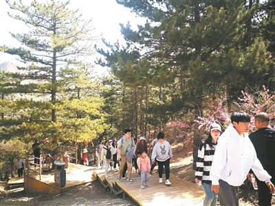     贺兰山国家森林公园游客登山踏青。（景区供图）