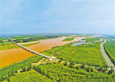 黄河滋养着宁夏这片沃土，两岸处处生机盎然。（资料图片）                                                                                         本报记者 王晓龙 摄