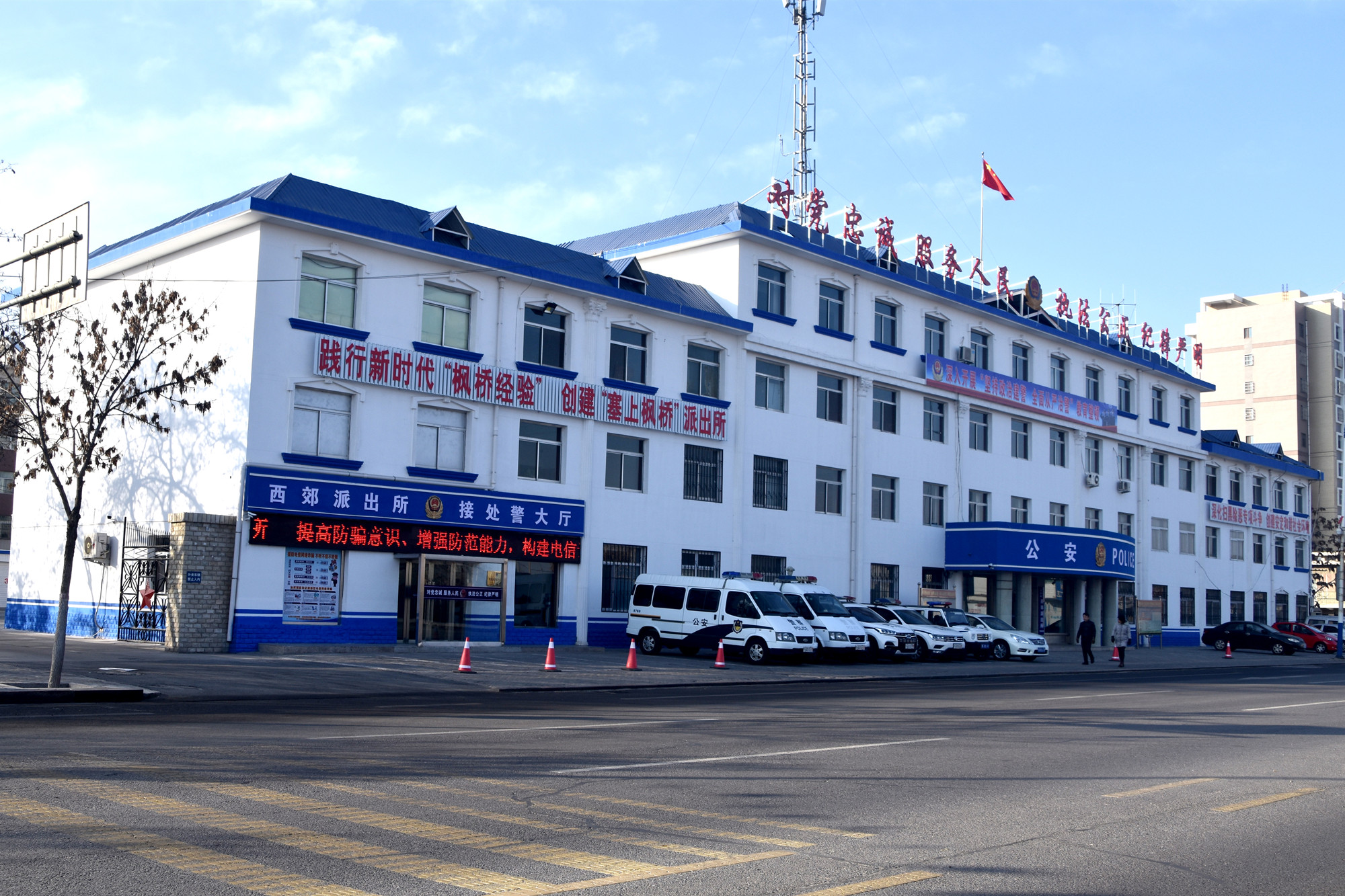 mmexport1702009247565.jpg