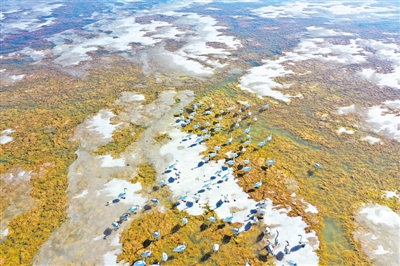 <p>盐池县花马湖湿地的天鹅。　图片由自治区林草局提供</p>