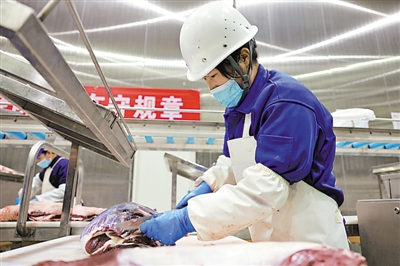 <p>　　海原县海润肉类食品有限公司屠宰场，工人在流水线上分割处理牛肉。</p>