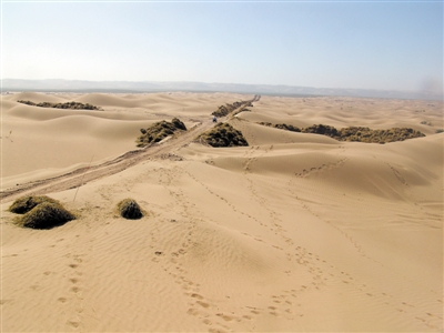 <p>　　2007年8月2日，黄沙覆盖着的灵武白芨滩国家级自然保护区。　魏蒙　摄</p>