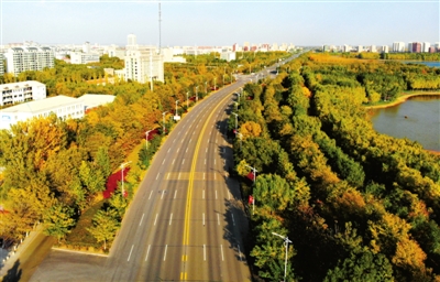     宽敞八车道两侧，树木色彩丰富，黄绿分明。