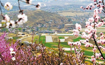 <p>　　4月10日，第十五届六盘山山花节在彭阳县举行。　　　　　　　　　　　　　　　　　　　　　　　　　　　　　　　　　　　　本报记者　丁建峰　摄</p>