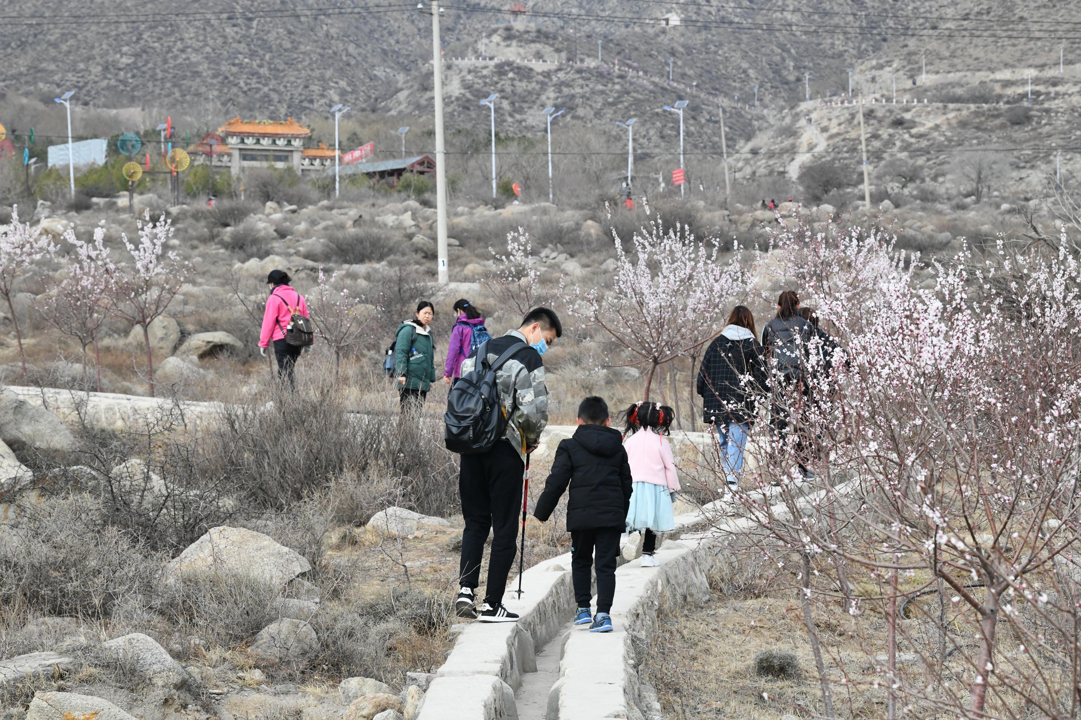 DSC_6765_爱奇艺.jpg
