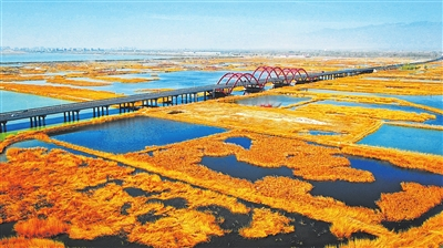 阅海国家湿地公园鸟瞰图.