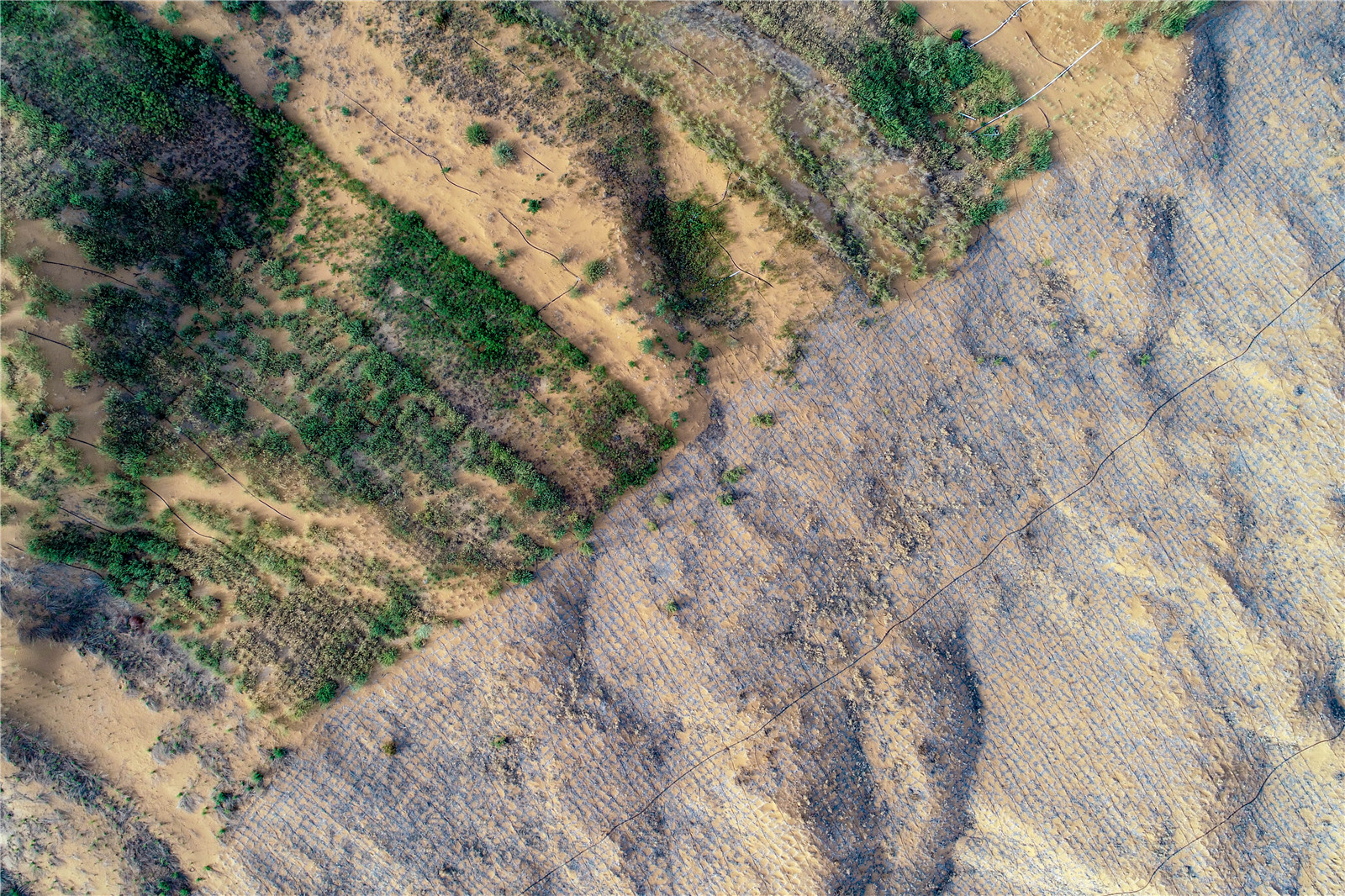 DJI_0549.jpg