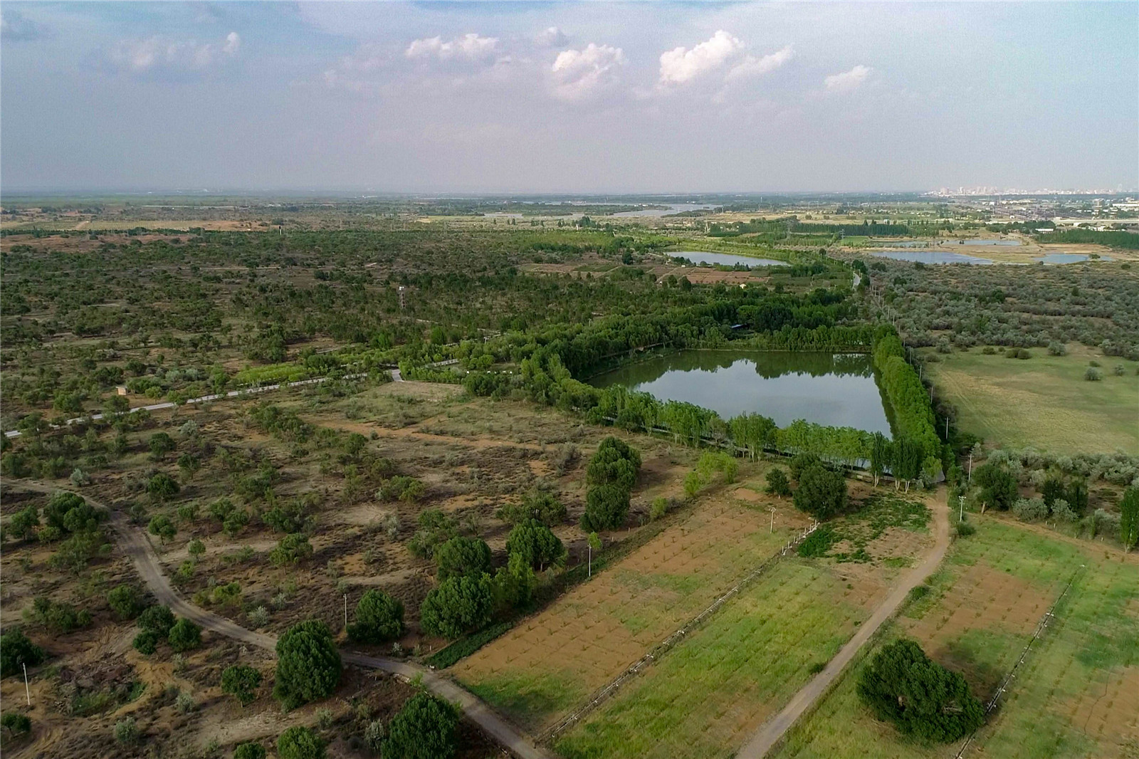 DJI_0510.jpg