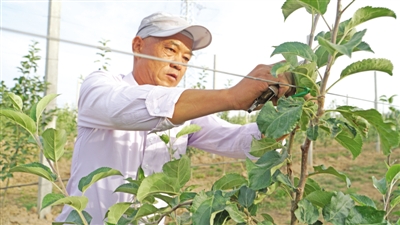 <p>　　“四个一”林草产业推动林果产业高质量发展。</p>