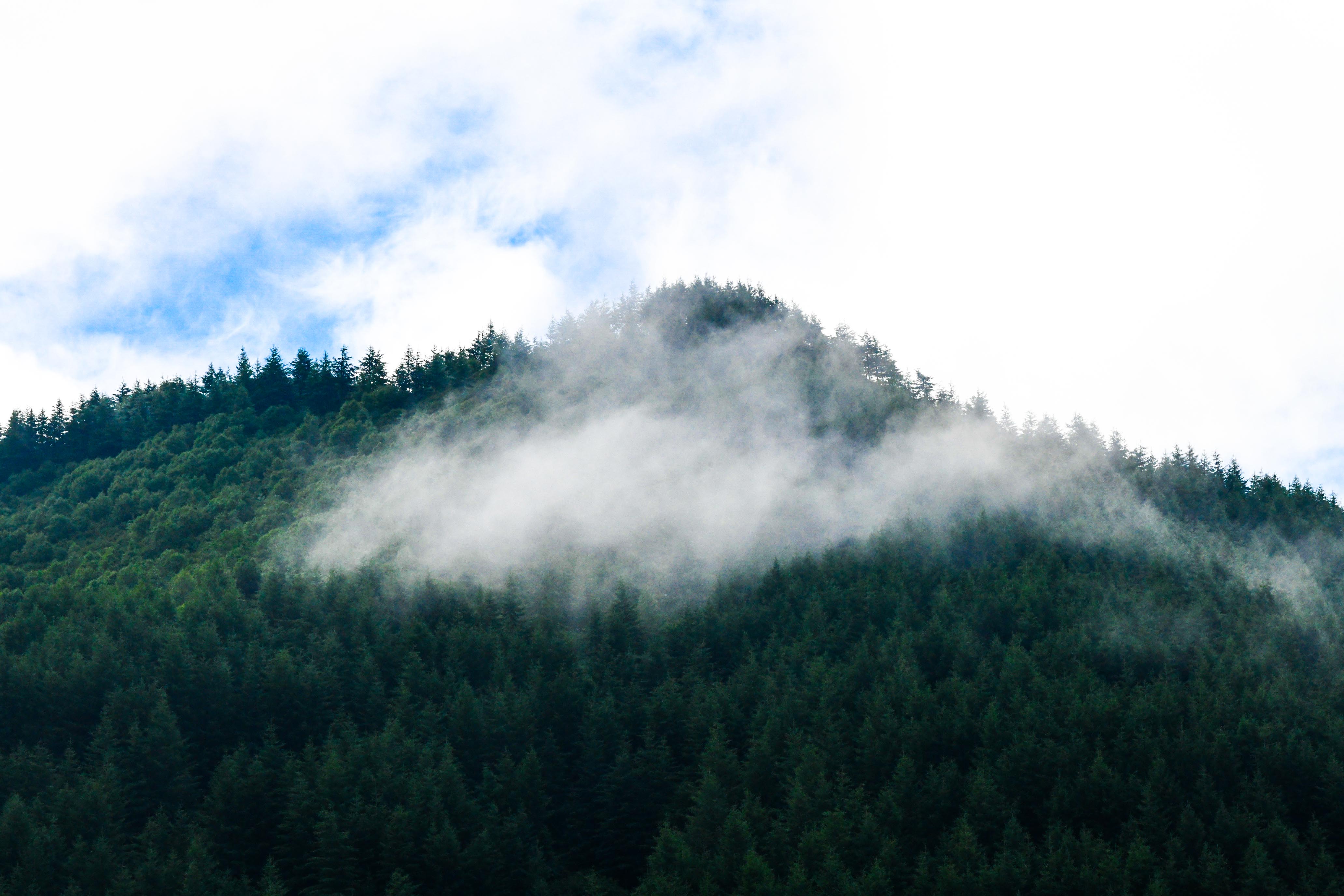 DSC_3322.jpg