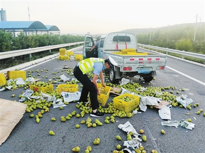 交警帮忙清理散落在高速路上的梨。交警供图