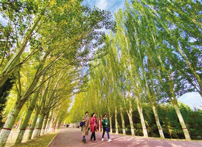 <p>　　秋之一叶</p><p>　　10月16日，银川凤凰公园，金黄的落叶铺满地面，人们或是驻足欣赏、或是拍照留影，享受秋日美好时光。</p><p>　　本报记者　马楠　摄　</p>