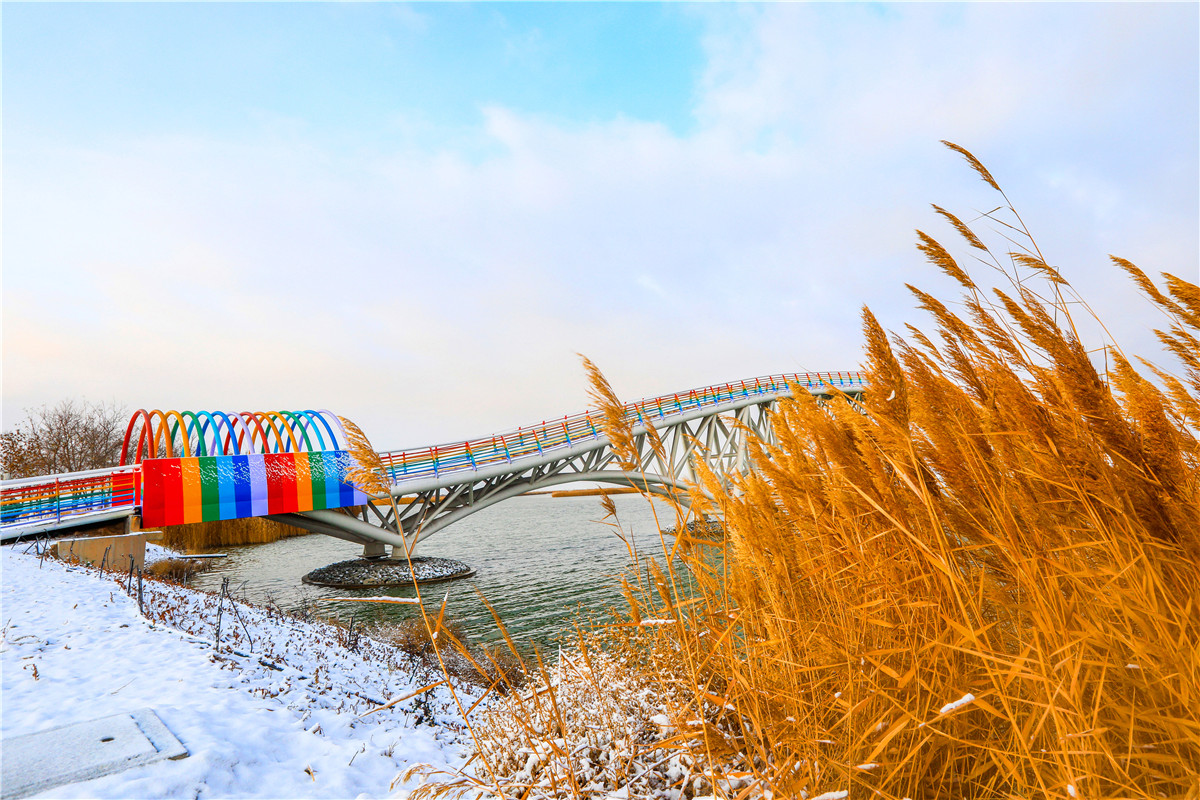 雪景沙湖 (9)_副本.jpg