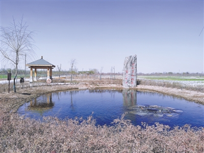 宁夏：人工湿地护一泓清水入黄河