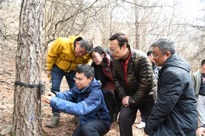 六盘山成全国华北豹种群密度最高区域之一