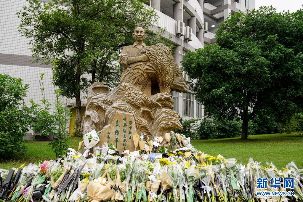 袁隆平最后的时光：病危之际，还关心稻子长势