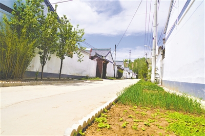 <p>　　门前空地建菜园。</p>