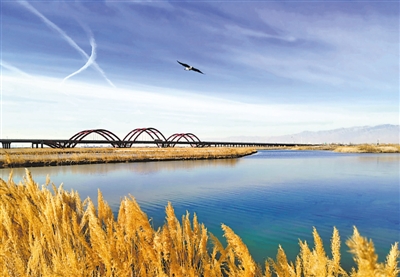 <p>　　银川市北绕城高速公路的阅海大桥。　　　　　　　　　　　　　　　　　　　　　　　　　　　　　　　　　　　　　　　　　　　　　　　　　　　　　　　　　　　　　　　　　　　　　　　　　　　　　　　　　　　　　　　　　　　　　　　　　　　　　　　　　　　　　本报记者　马楠　摄</p>