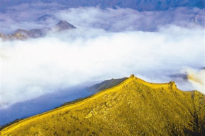 <p>ʯɽй¹ַͨѶԱα̻ᡡ㡡</p>