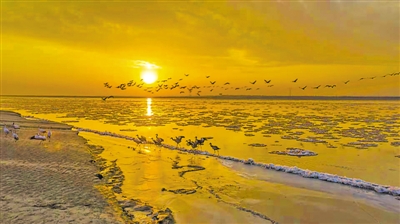 <p>ƺӱڣҺ׻硣ͨѶԱ«̼㡡</p>
