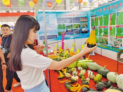 4000多个蔬菜新品种亮相第八届宁夏种业博览会