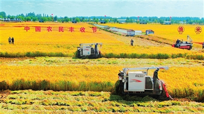 农机手驾驶农机收割稻谷.jpg
